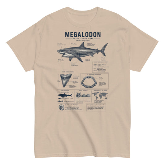 Megalodon Fossil Study Chart T-Shirt with Prehistoric Shark Anatomy