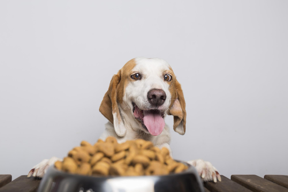 Find out which ancient pet foods are still popular today!
