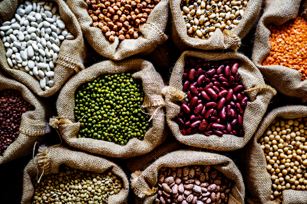 Why Beans and Legumes are the Perfect Food for Any Diet!