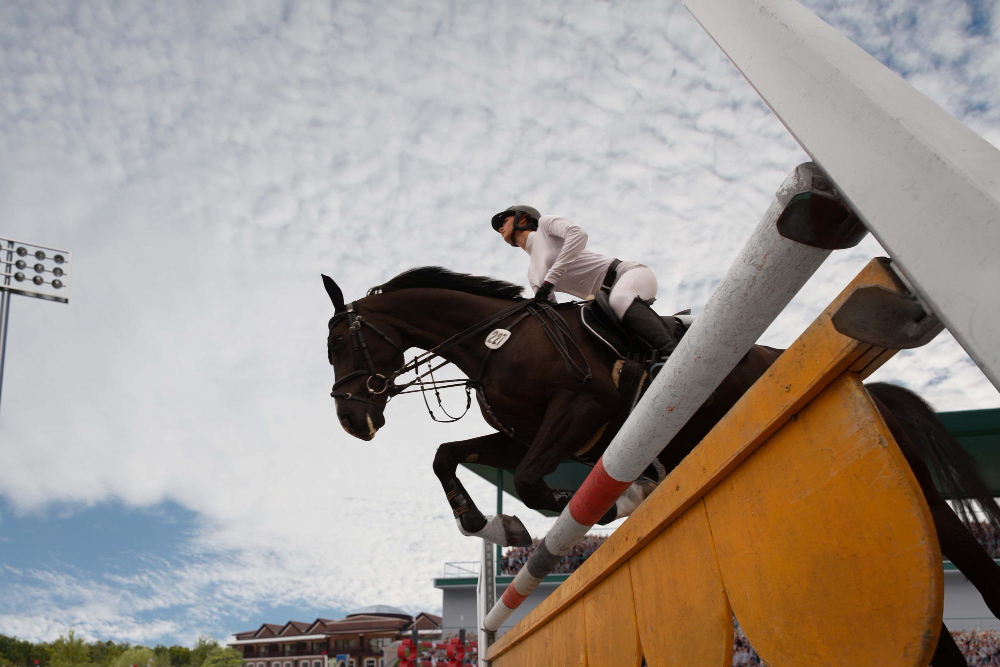 Animal-related sports that will make you love spending time outdoors