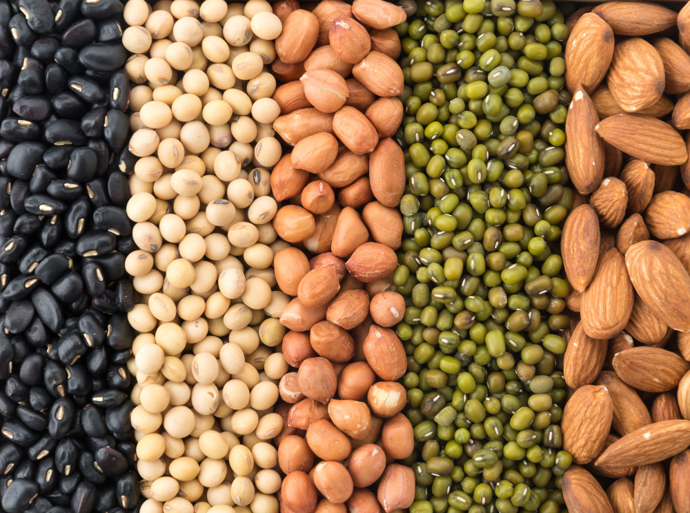 Nuts, Seeds, and Legumes from Around the World: A flavor for every palate!