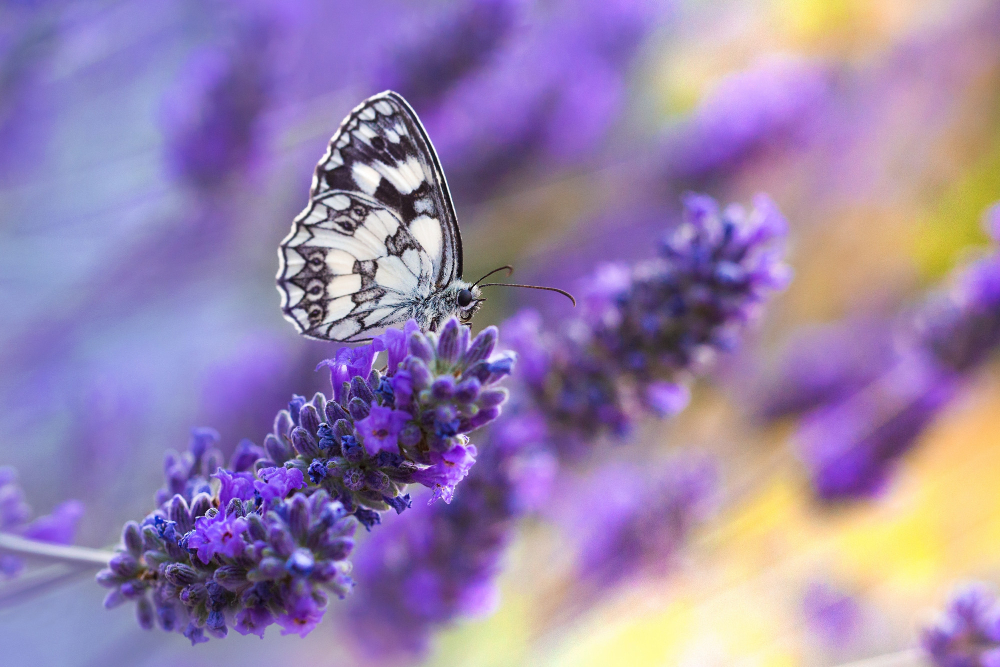 10 Ways Animals And Flowers Can Enhance Your Life In ways You Never Imagined
